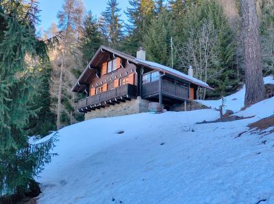 Nax, ravissant chalet authentique complétement rénové au cœur de la forêt - Chalet à Nax